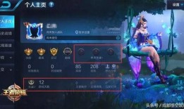 王者最新爆料怎么获取的,最新爆料带你领略获取新英雄的独家秘籍