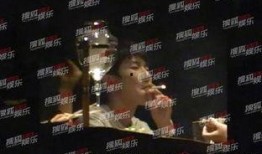 王源抽烟爆料视频大全最新,娱乐圈再掀风波，真相与争议并存